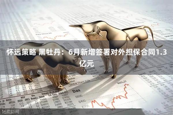 怀远策略 黑牡丹：6月新增签署对外担保合同1.3亿元