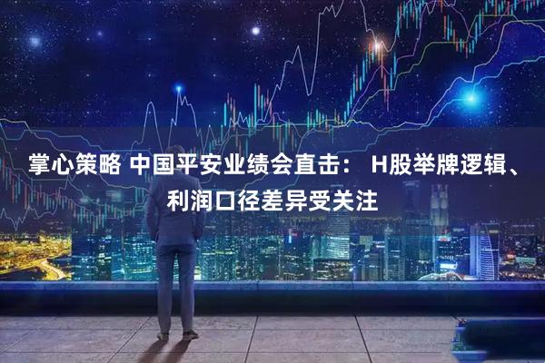 掌心策略 中国平安业绩会直击： H股举牌逻辑、利润口径差异受关注